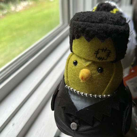 Target Halloween Bird Featherly Friends Hyde & Eek 2023 Frankenstein & Bride Set - Picture 10 of 10